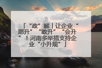 “政”解丨让企业“愿升”“敢升”“会升”！河南多举措支持企业“小升规”