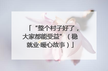 “整个村子好了，大家都能受益”（稳就业·暖心故事）