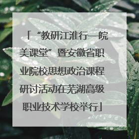 “教研江淮行—皖美课堂”暨安徽省职业院校思想政治课程研讨活动在芜湖高级职业技术学校举行