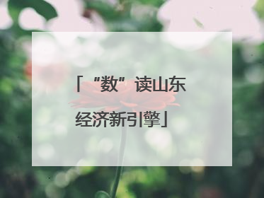 “数”读山东经济新引擎