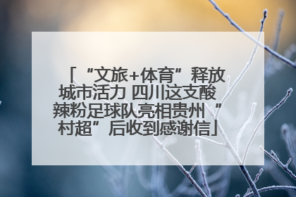 “文旅+体育”释放城市活力 四川这支酸辣粉足球队亮相贵州“村超”后收到感谢信