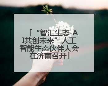 “智汇生态-AI共创未来”人工智能生态伙伴大会在济南召开
