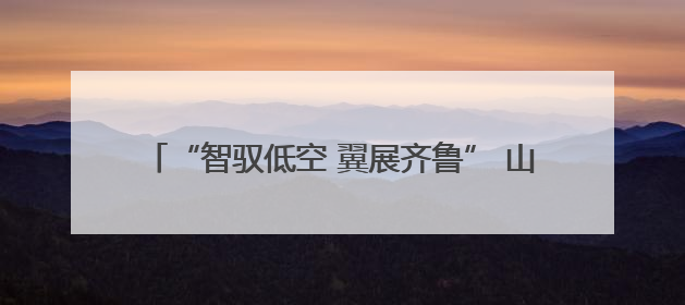 “智驭低空 翼展齐鲁” 山东移动助推低空经济蓄势腾飞