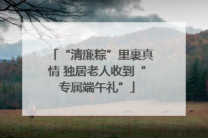 “清廉粽”里裹真情 独居老人收到“专属端午礼”