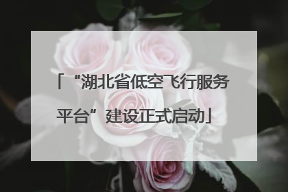 “湖北省低空飞行服务平台”建设正式启动