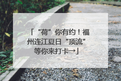 “荷”你有约！福州连江夏日“顶流”等你来打卡→