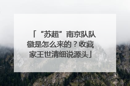 “苏超”南京队队徽是怎么来的？收藏家王世清细说源头