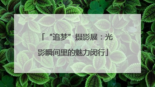 “追梦”摄影展：光影瞬间里的魅力闵行