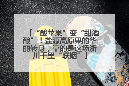 “酸苹果”变“甜酒酿”！盐源高原果的华丽转身，靠的是这场浙川千里“联姻”