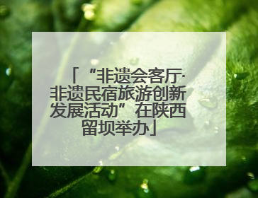“非遗会客厅·非遗民宿旅游创新发展活动”在陕西留坝举办