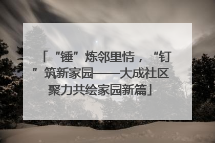 “锤”炼邻里情，“钉”筑新家园——大成社区聚力共绘家园新篇