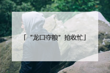 “龙口夺粮”抢收忙