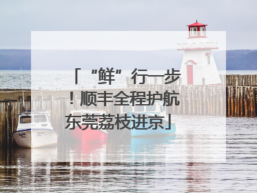 “鲜”行一步！顺丰全程护航东莞荔枝进京