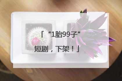 “1胎99子”短剧，下架！