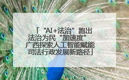 “AI+法治”跑出法治为民“加速度” 广西探索人工智能赋能司法行政发展新路径