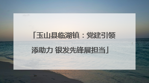 玉山县临湖镇：党建引领添助力 银发先锋展担当