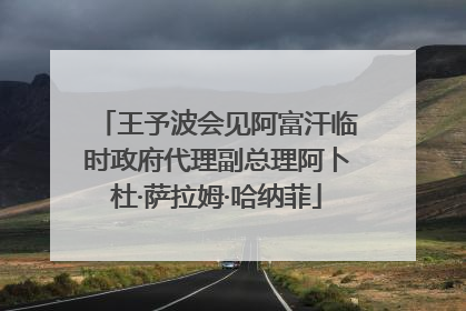 王予波会见阿富汗临时政府代理副总理阿卜杜·萨拉姆·哈纳菲