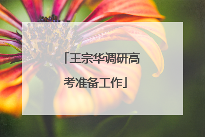 王宗华调研高考准备工作