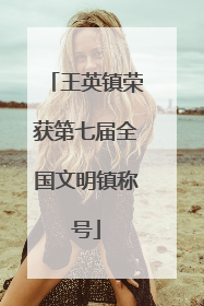 王英镇荣获第七届全国文明镇称号