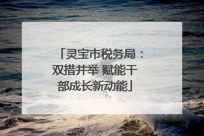 灵宝市税务局：双措并举 赋能干部成长新动能