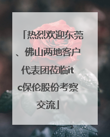 热烈欢迎东莞、佛山两地客户代表团莅临itc保伦股份考察交流