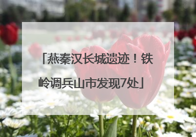 燕秦汉长城遗迹！铁岭调兵山市发现7处