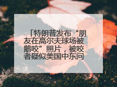 特朗普发布“朋友在高尔夫球场被鹅咬”照片，被咬者疑似美国中东问题特使