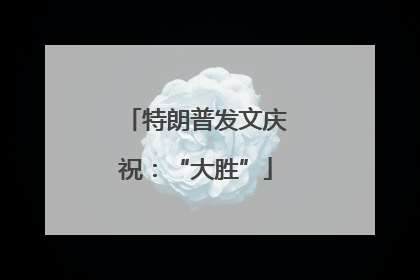 特朗普发文庆祝：“大胜”