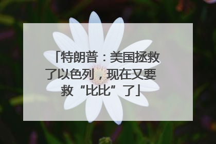 特朗普：美国拯救了以色列，现在又要救“比比”了