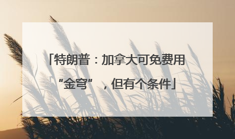 特朗普：加拿大可免费用“金穹”，但有个条件