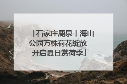 石家庄鹿泉丨海山公园万株荷花绽放 开启夏日赏荷季
