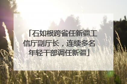 石如根跨省任新疆工信厅副厅长，连续多名年轻干部调任新疆