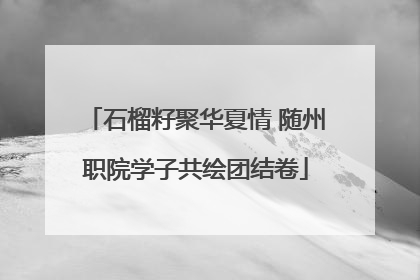 石榴籽聚华夏情 随州职院学子共绘团结卷