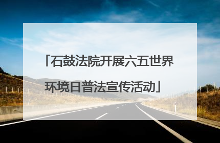 石鼓法院开展六五世界环境日普法宣传活动