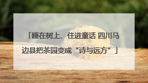 睡在树上、住进童话 四川马边县把茶园变成“诗与远方”