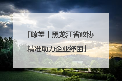 瞭望丨黑龙江省政协精准助力企业纾困
