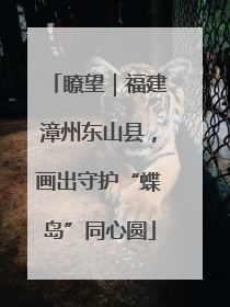 瞭望｜福建漳州东山县，画出守护“蝶岛”同心圆