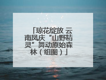 琼花绽放 云南凤庆“山野精灵”舞动原始森林（组图）