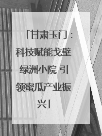 甘肃玉门：科技赋能戈壁绿洲小院 引领蜜瓜产业振兴