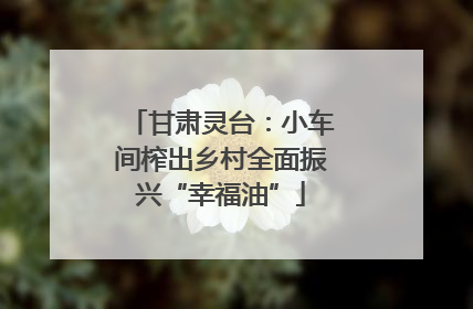 甘肃灵台：小车间榨出乡村全面振兴“幸福油”