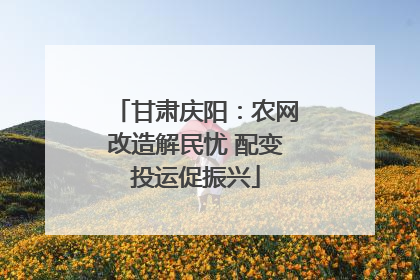 甘肃庆阳：农网改造解民忧 配变投运促振兴