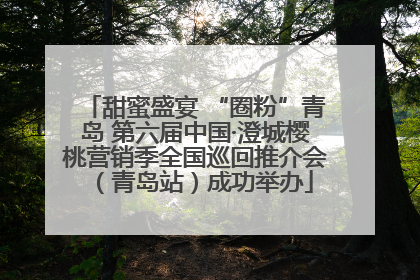 甜蜜盛宴 “圈粉”青岛 第六届中国·澄城樱桃营销季全国巡回推介会（青岛站）成功举办