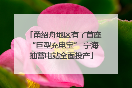 甬绍舟地区有了首座“巨型充电宝” 宁海抽蓄电站全面投产