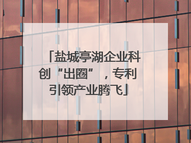 盐城亭湖企业科创“出圈”，专利引领产业腾飞