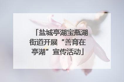 盐城亭湖宝瓶湖街道开展“善育在亭湖”宣传活动