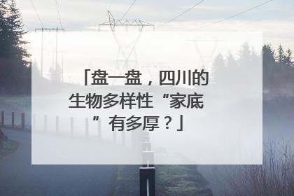 盘一盘，四川的生物多样性“家底”有多厚？