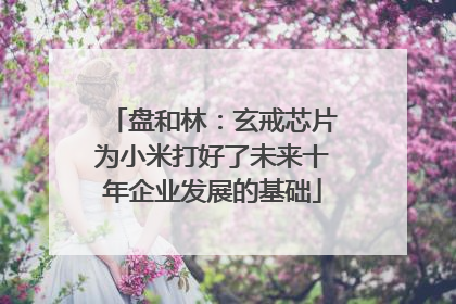 盘和林：玄戒芯片为小米打好了未来十年企业发展的基础