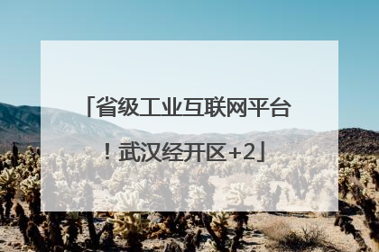 省级工业互联网平台！武汉经开区+2