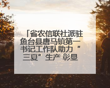 省农信联社派驻鱼台县唐马镇第一书记工作队助力“三夏”生产 彰显为民担当