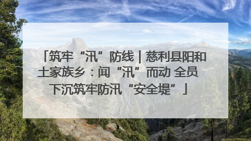 筑牢“汛”防线｜慈利县阳和土家族乡：闻“汛”而动 全员下沉筑牢防汛“安全堤”